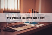 广东捉鸟麻将（麻将中捉鸟什么意思）