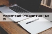 中马翻倍广东麻将（广东麻将的中马是什么意思）
