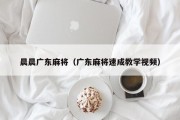 晨晨广东麻将（广东麻将速成教学视频）