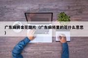 广东麻将金花图片（广东麻将里的花什么意思）