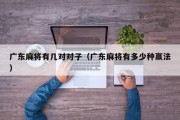 广东麻将有几对对子（广东麻将有多少种赢法）