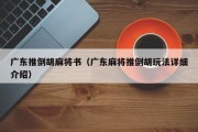 广东推倒胡麻将书（广东麻将推倒胡玩法详细介绍）