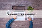 广东麻将一条（广东麻将一条叫什么）