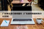 广东跟兄弟打麻将图片（广东麻将和麻将有什么区别）