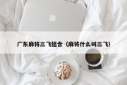 广东麻将三飞组合（麻将什么叫三飞）