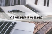 广东粤语麻将视频（粤语 麻将）