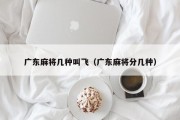 广东麻将几种叫飞（广东麻将分几种）