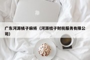 广东河源橘子麻将（河源桔子财税服务有限公司）