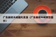 广东麻将大胡图片高清（广东麻将大胡牌型图片）