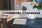 广东麻将最新骗术图片（广东麻将最新骗术图片大全）