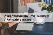 广麻是广东麻将吗图片（广麻100张相较于广东麻将,减少了什么牌呢?）