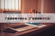 广东麻将赖子叫什么（广东麻将赖子打法）