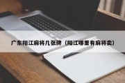 广东阳江麻将几张牌（阳江哪里有麻将卖）