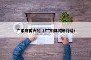 广东麻将火的（广东麻将顺口溜）