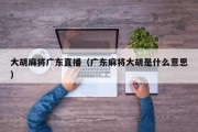 大胡麻将广东直播（广东麻将大胡是什么意思）