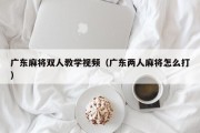 广东麻将双人教学视频（广东两人麻将怎么打）