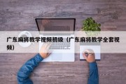 广东麻将教学视频初级（广东麻将教学全套视频）
